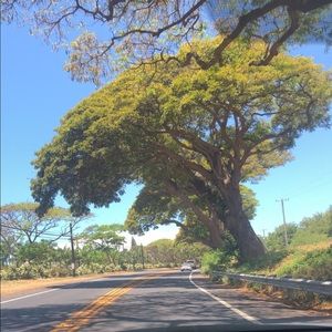 Meet your Posher, Cheyenn